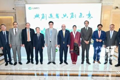 President Zardari Invites Shanghai Electric to Deepen Investment in Pakistan’s Power Sector