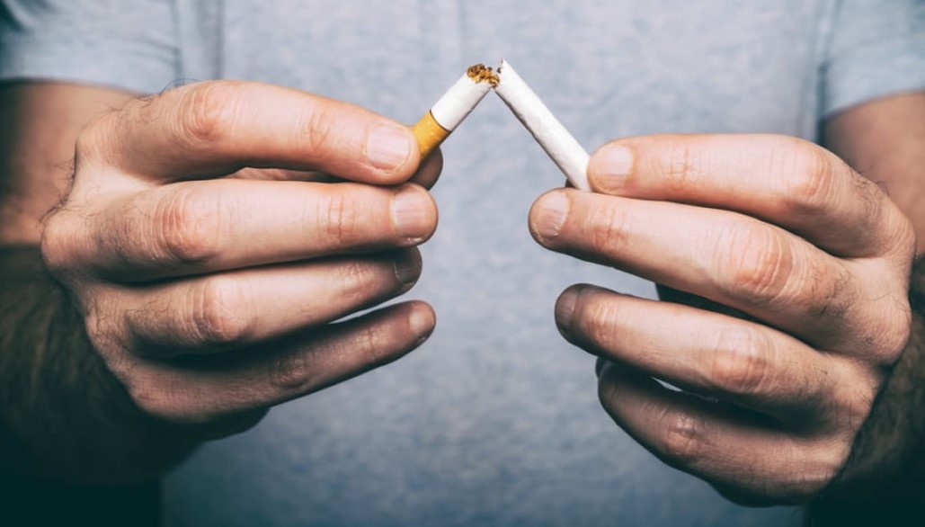 Experts Call for Regulated Tobacco Harm Reduction Framework in Pakistan