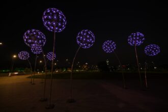 Purple illuminated dandelion-shaped light sculptures along CBD Route 47 at night