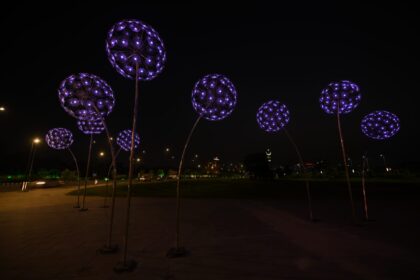 Purple illuminated dandelion-shaped light sculptures along CBD Route 47 at night